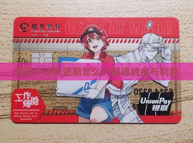 信用卡还款逾期怎么计算违约金与利息