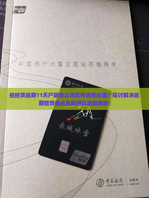 拍拍贷逾期11天户籍地公示怎样合规处理？探讨解决逾期借贷痛点及规避风险新策略！