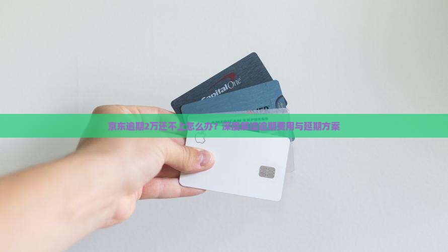 京东逾期2万还不上怎么办？深度解读逾期费用与延期方案