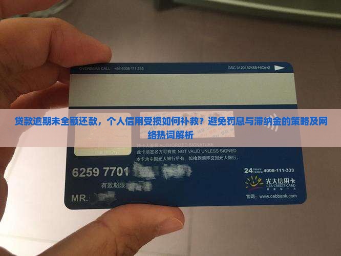贷款逾期未全额还款，个人信用受损如何补救？避免罚息与滞纳金的策略及网络热词解析