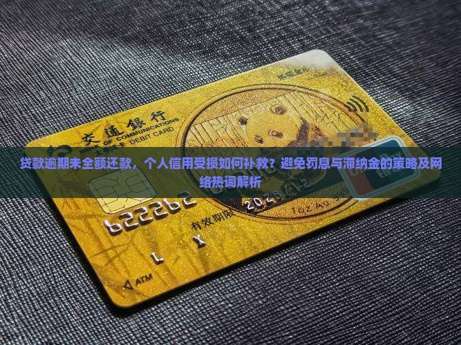 贷款逾期未全额还款，个人信用受损如何补救？避免罚息与滞纳金的策略及网络热词解析