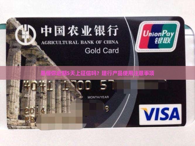 惠懂你逾期5天上征信吗？建行产品使用注意事项