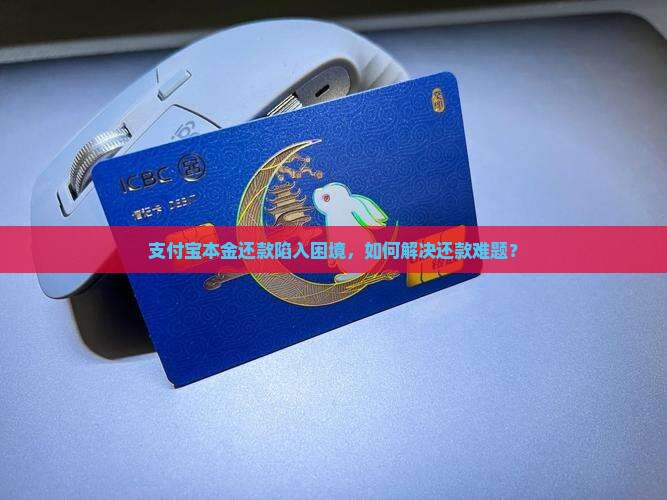 支付宝本金还款陷入困境，如何解决还款难题？