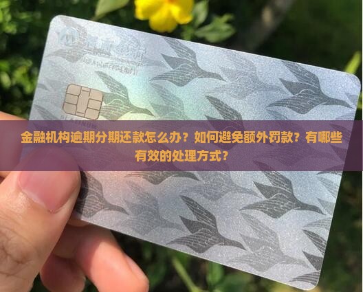 金融机构逾期分期还款怎么办？如何避免额外罚款？有哪些有效的处理方式？