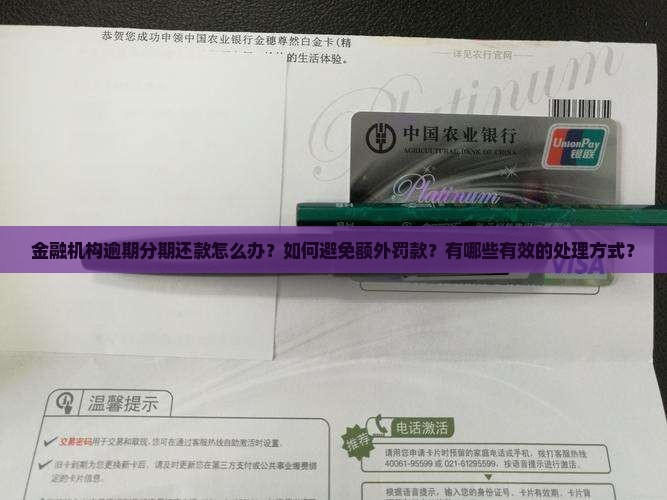 金融机构逾期分期还款怎么办？如何避免额外罚款？有哪些有效的处理方式？