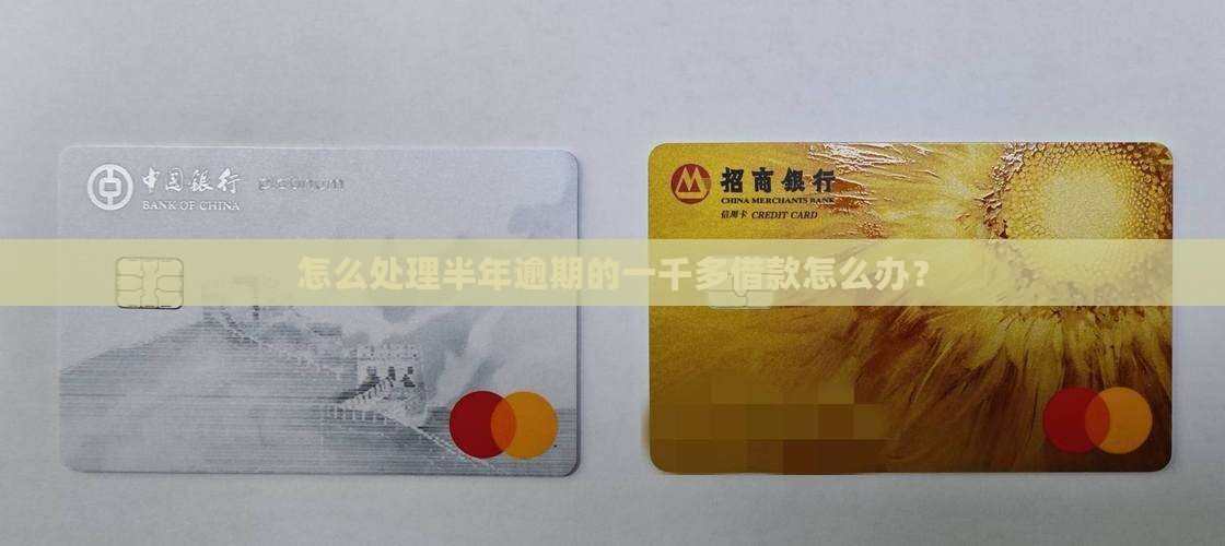 怎么处理半年逾期的一千多借款怎么办？