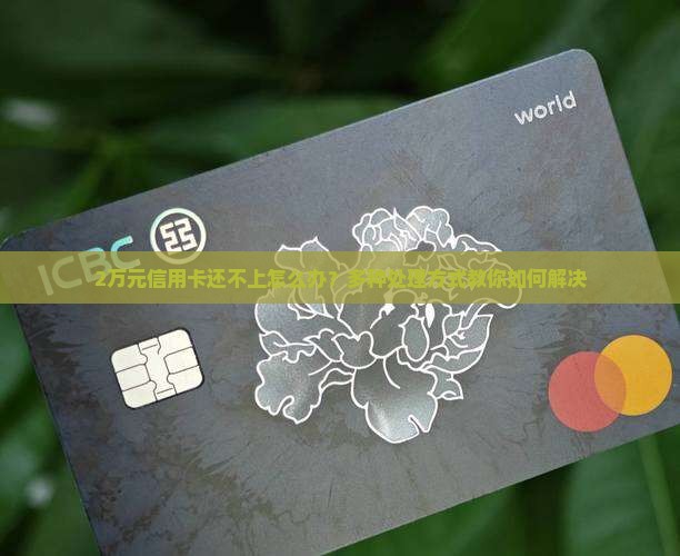 2万元信用卡还不上怎么办？多种处理方式教你如何解决