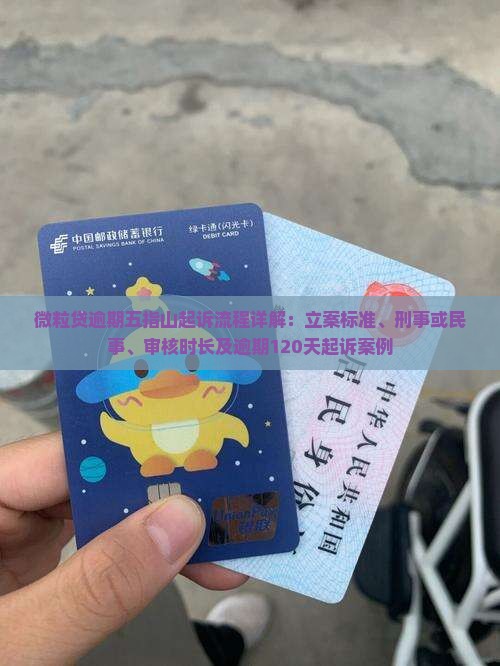 微粒贷逾期五指山起诉流程详解：立案标准、刑事或民事、审核时长及逾期120天起诉案例