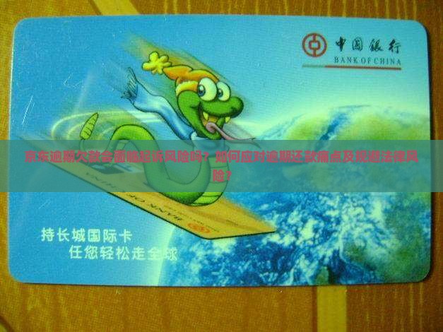 京东逾期欠款会面临起诉风险吗？如何应对逾期还款痛点及规避法律风险？