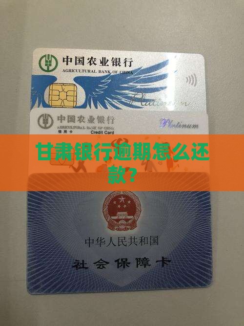 甘肃银行逾期怎么还款？