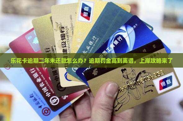 乐花卡逾期二年未还款怎么办？逾期罚金高到离谱，上岸攻略来了
