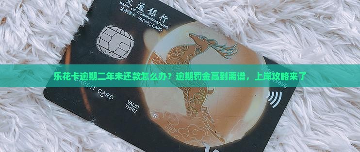 乐花卡逾期二年未还款怎么办？逾期罚金高到离谱，上岸攻略来了