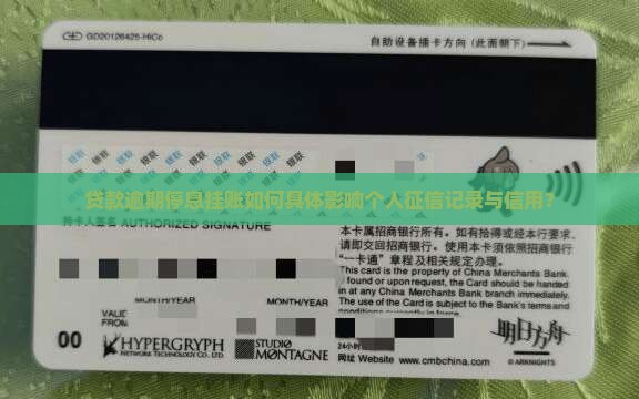 贷款逾期停息挂账如何具体影响个人征信记录与信用？