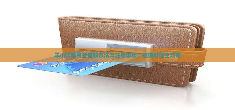 羊小咩备用金催收方法与注意事项，逾期处理全攻略