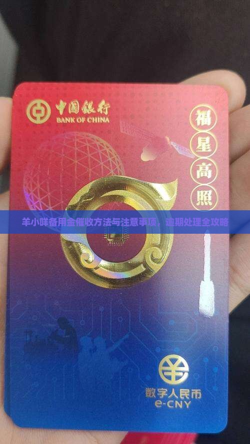 羊小咩备用金催收方法与注意事项，逾期处理全攻略