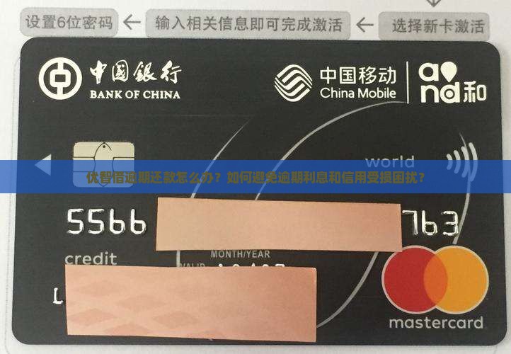 优智借逾期还款怎么办？如何避免逾期利息和信用受损困扰？