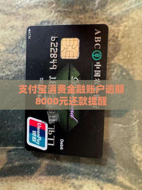 支付宝消费金融账户逾期8000元还款提醒