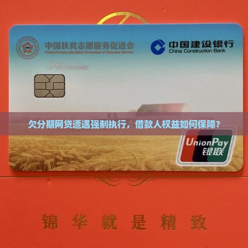 欠分期网贷遭遇强制执行，借款人权益如何保障？