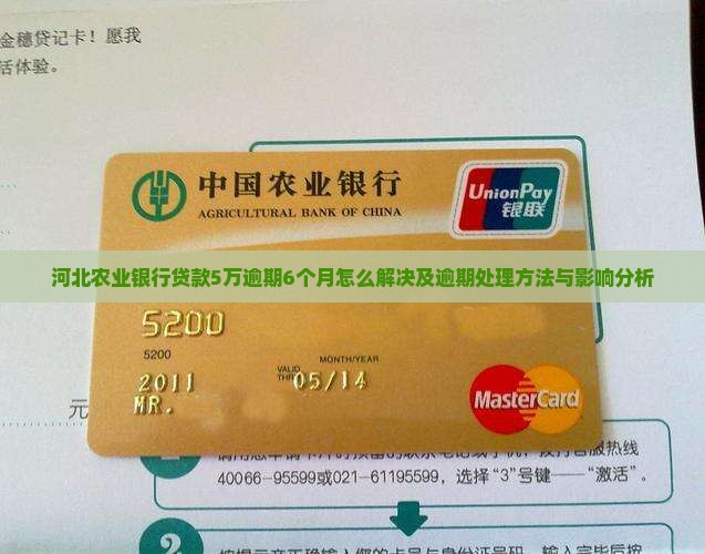河北农业银行贷款5万逾期6个月怎么解决及逾期处理方法与影响分析
