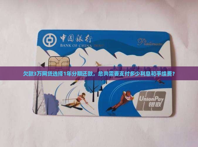 欠款3万网贷选择1年分期还款，总共需要支付多少利息和手续费？
