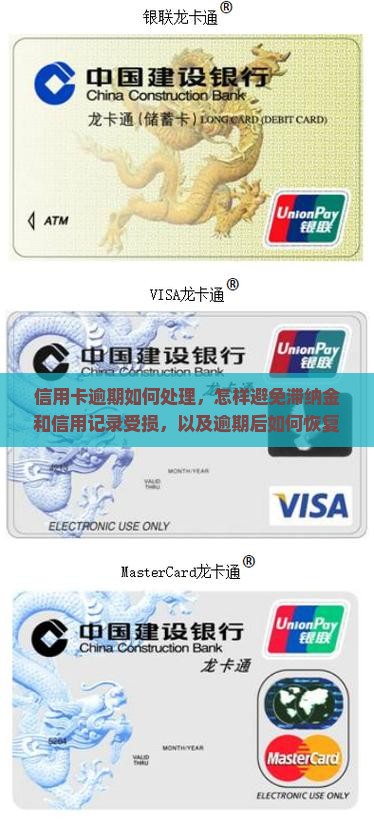 信用卡逾期如何处理，怎样避免滞纳金和信用记录受损，以及逾期后如何恢复信用评分？