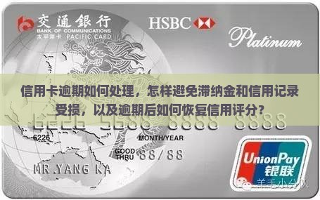 信用卡逾期如何处理，怎样避免滞纳金和信用记录受损，以及逾期后如何恢复信用评分？