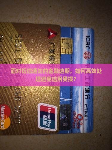 面对短信通知的金融逾期，如何高效处理避免信用受损？