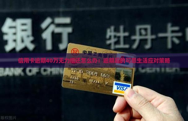 信用卡逾期40万无力偿还怎么办：逾期后的可悲生活应对策略
