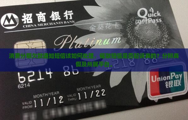 消费分期欠款通知短信该如何处理，催款短信是否起诉真的？分辨真假及所属平台。