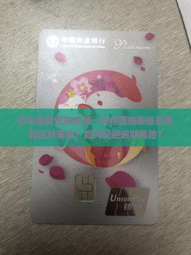 京东金融借款逾期一年将面临哪些后果和应对策略？如何规避逾期风险？