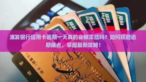 浦发银行信用卡逾期一天真的会被冻结吗？如何规避逾期痛点，掌握最新攻略！