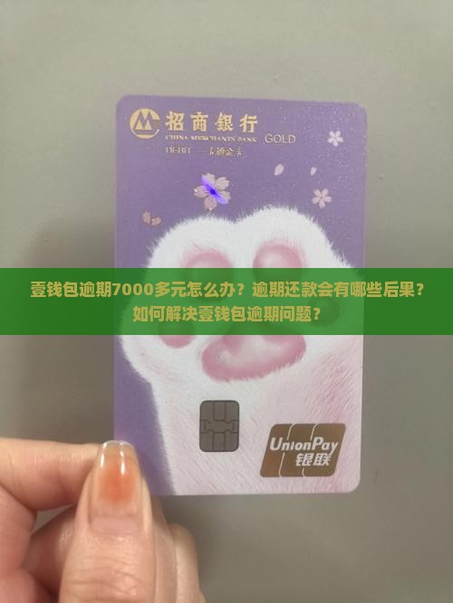 壹钱包逾期7000多元怎么办？逾期还款会有哪些后果？如何解决壹钱包逾期问题？