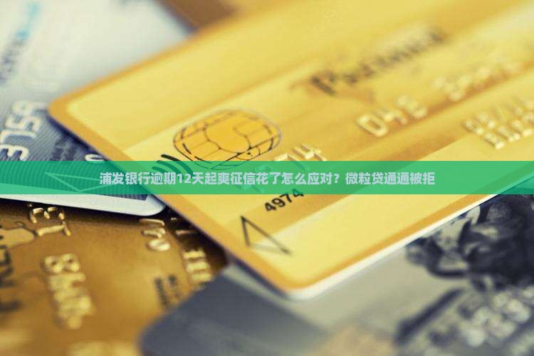浦发银行逾期12天起爽征信花了怎么应对？微粒贷通通被拒