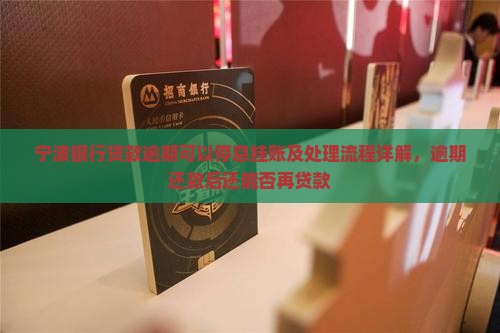 宁波银行贷款逾期可以停息挂账及处理流程详解，逾期还款后还能否再贷款