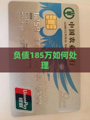 负债185万如何处理