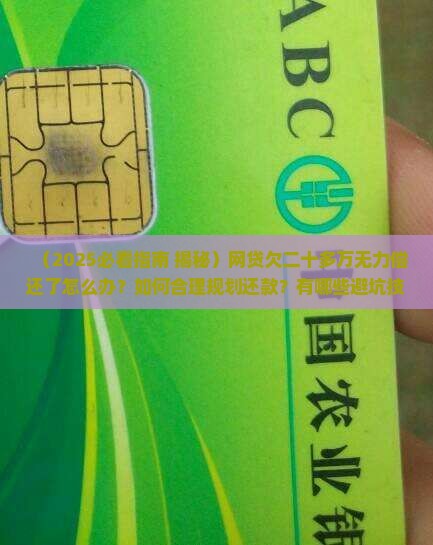 网贷欠二十多万无力偿还了怎么办