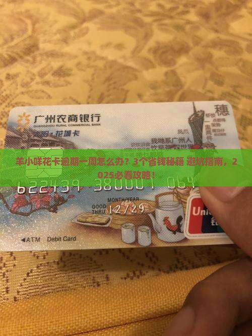 羊小咩享花卡逾期一个星期怎么处理