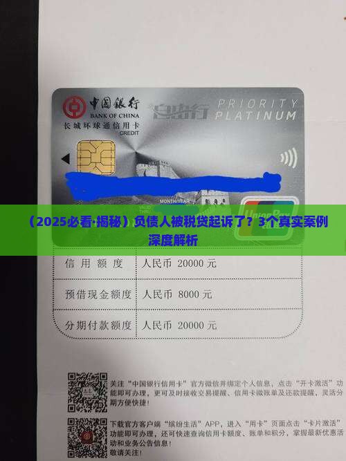 税贷大批量起诉负债人