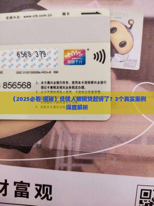 税贷大批量起诉负债人