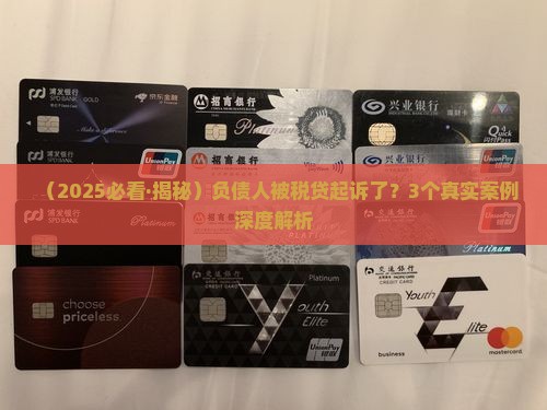 税贷大批量起诉负债人
