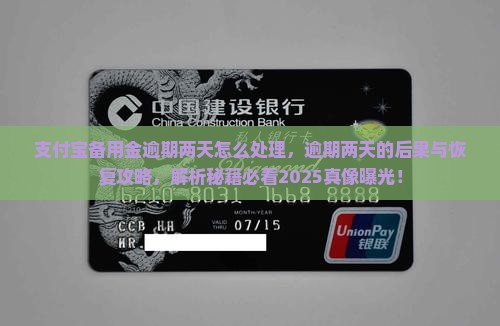 支付宝备用金逾期两天怎么处理