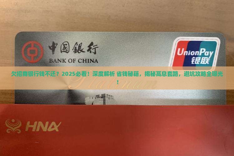 欠招商银行钱不还