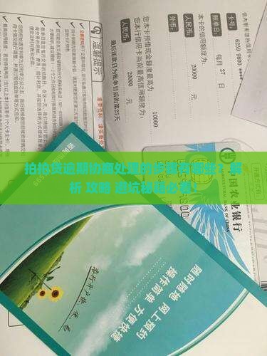 拍拍贷逾期协商处理的步骤有哪些
