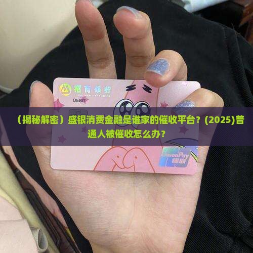 盛银消费金融是谁家的催收平台