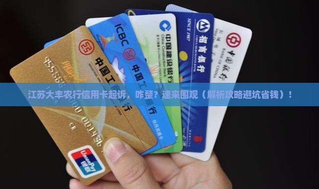 江苏大丰农行信用卡起诉案件如何处理