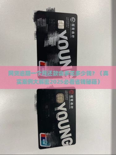 网贷逾期一个月还款会产生多少费用及利息