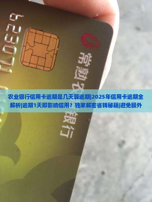 农业银行信用卡逾期是几天算逾期