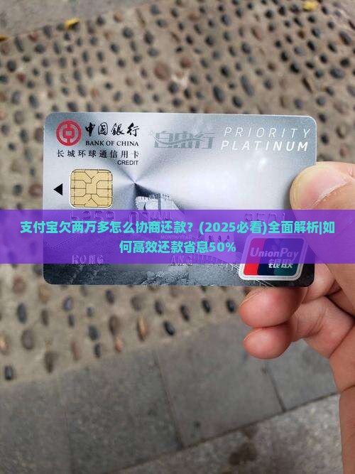 支付宝欠两万多怎么协商还款
