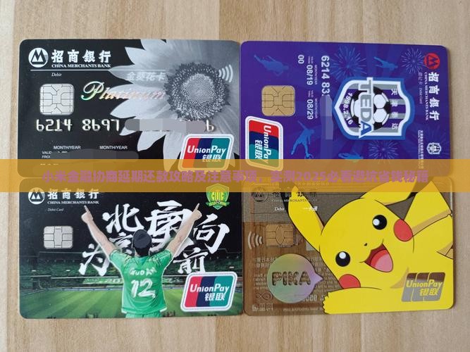 小米金融协商延期还款流程及注意事项