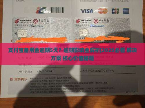 支付宝备用金逾期5天